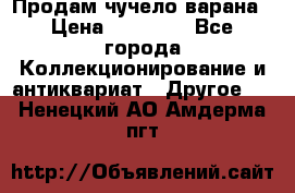 Продам чучело варана › Цена ­ 15 000 - Все города Коллекционирование и антиквариат » Другое   . Ненецкий АО,Амдерма пгт